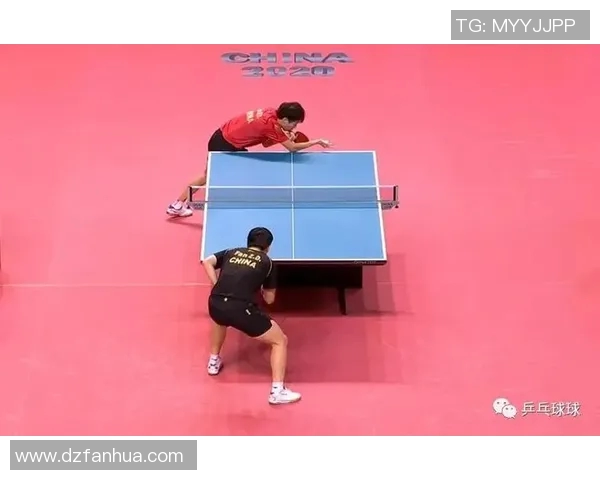 乒乓球深度解析武汉乒乓球队如何实现整体压制与战术优势