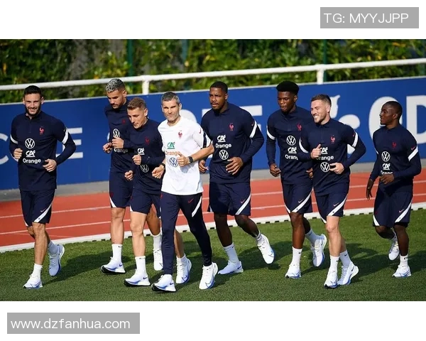 法国与乌克兰精彩对决全场集锦回顾与分析