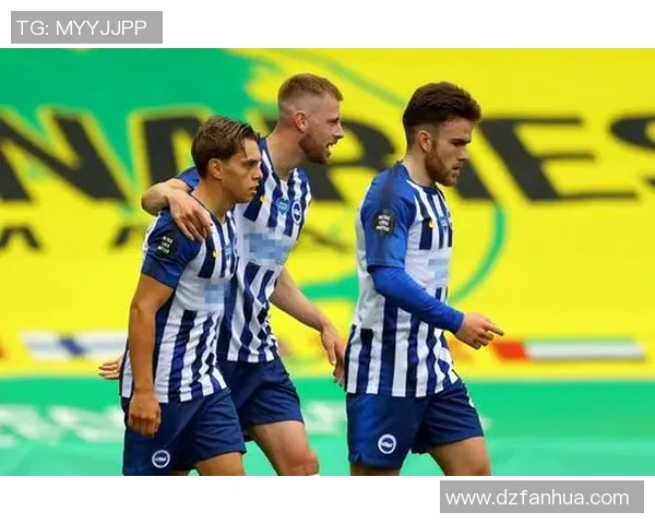 诺维奇与布莱顿精彩对决直播全程回顾与分析