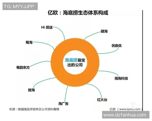 重庆飞盘队快攻革新之路探索与战术解析